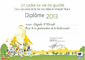 diplme 2013