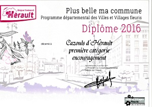 diplme 2016