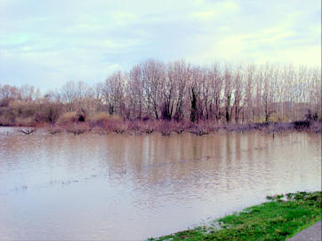 inondations030209