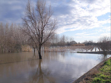 inondations030209