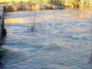 inondations030209