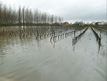 inondations160311