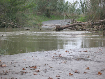 inondations291114